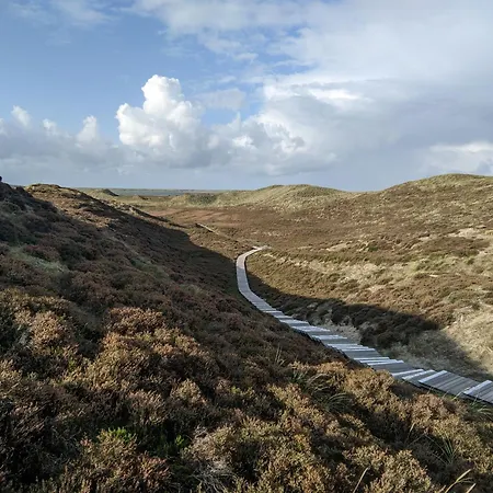 Lister Duenennest List